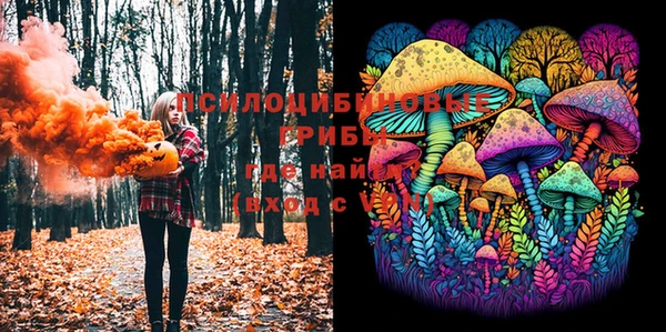 шишки Балахна