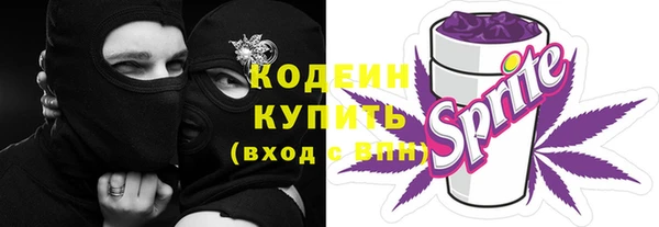 шишки Балахна