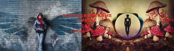 сатива Балабаново