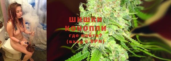 шишки Балахна