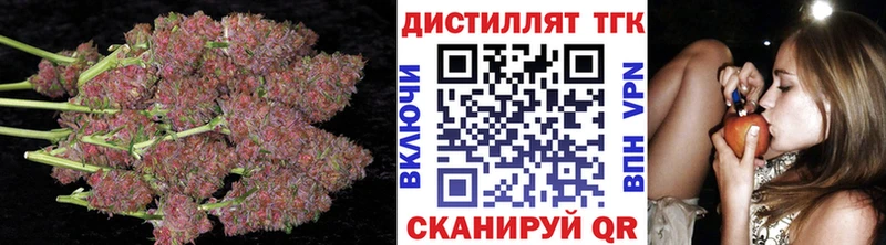 сколько стоит  Курчалой  Дистиллят ТГК THC oil 