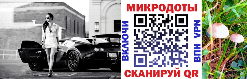 МЕГА ONION  где продают наркотики  Курчалой  Галлюциногенные грибы Psilocybe 