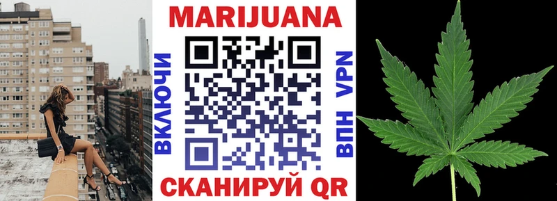 где купить наркотик  Курчалой  Канабис план 